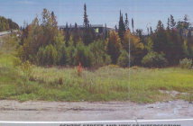 Developer's artistic rendering showing impact on tree line.