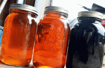 The end result! Syrup can range from light to medium to dark. The darker has been sitting in the collection tank for a longer period, while the others were made earlier in the season