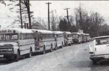 Buses lined up on Brunel Road beside HHS, 1962 (Photo: HHS Reunion Committee)