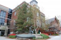 Tulips at Huntsville Town Hall