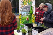 You need math to grow plants