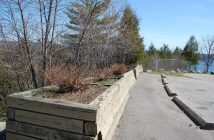 Councillors wondered whether these planters are even necessary against the beautiful natural backdrop at the lookout