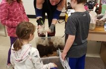 Raising alpacas uses math