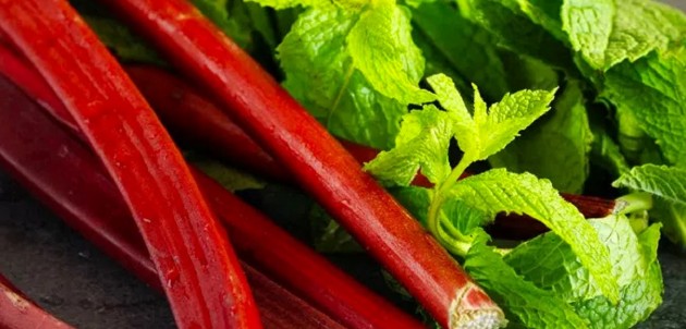 Fresh from The Spring Farm: Rhubarb recipes