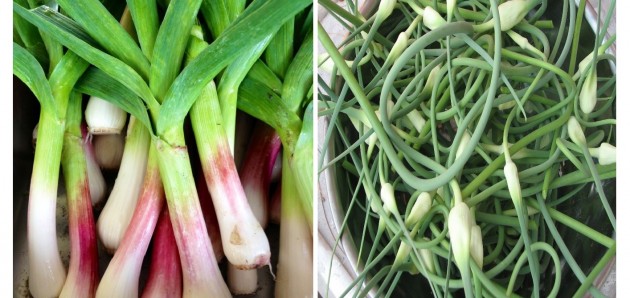 Fresh from The Spring Farm: Spring garlic recipes