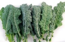 Black Kale (Dino Kale)