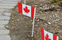 The flags are planted next to driveways, along streets, and in gardens all over Huntsville and area