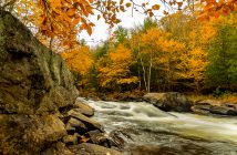 Great Outdoors entry "Fall on the Oxtongue River" by Terry L.