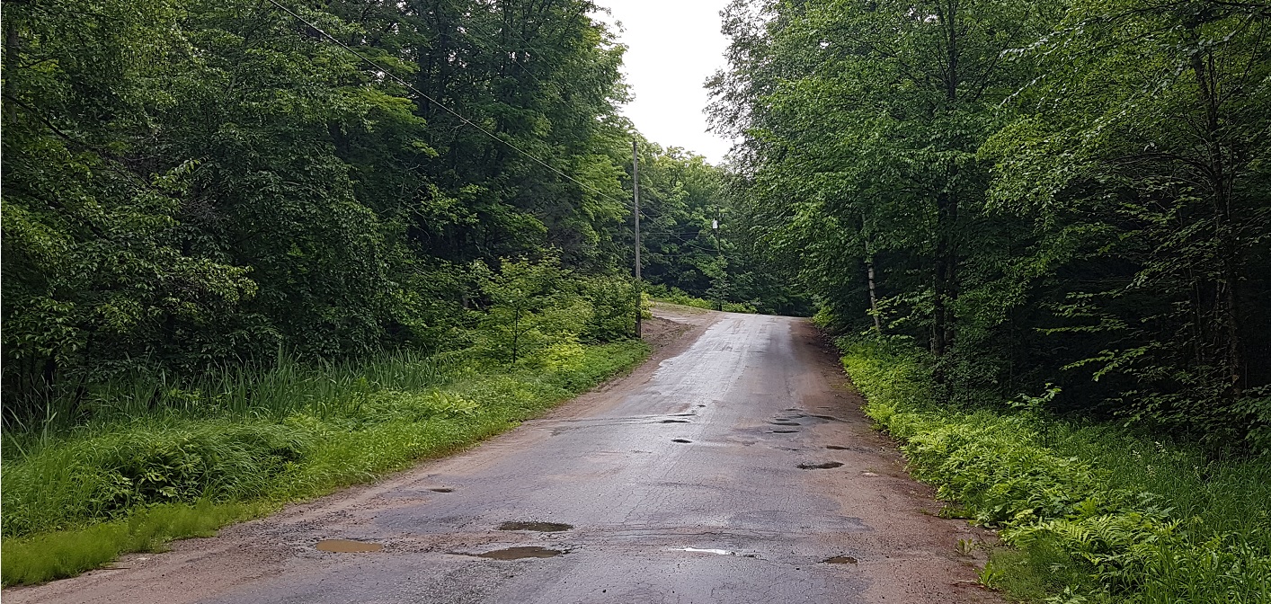 A section of Harp Lake Road is one of four that could be repaired a year early due to a surplus in the budget