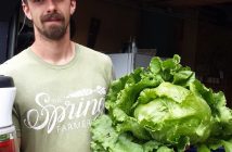 Iceberg lettuce is also awesome for lettuce wraps and very different from grocery store iceberg lettuce
