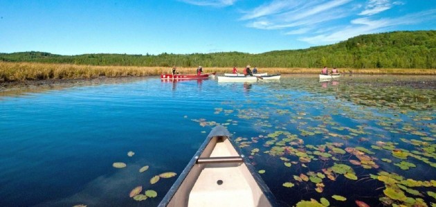 It’s Healthy People, Healthy Parks Day – free day use at Arrowhead and Algonquin Parks