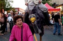 Betty Hildebrandt from Pembroke isn't sure what to make of this ostrich-riding busker (Photo: Pete Searle)