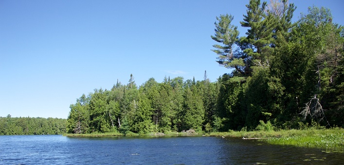 Limberlost Challenge participants get to enjoy scenic views like this one when they're not focused on the trail ahead (Photo: Jack Page)