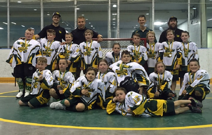 Moller Insurance Novice Hawks