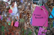 All were invited to write messages, dreams and memories to adorn an installation in River Mill Park