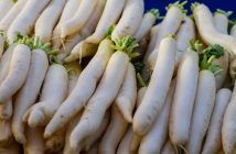 Daikon or Japanese Radish