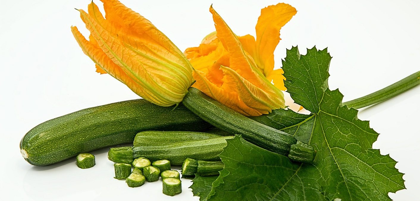 Squash zucchini