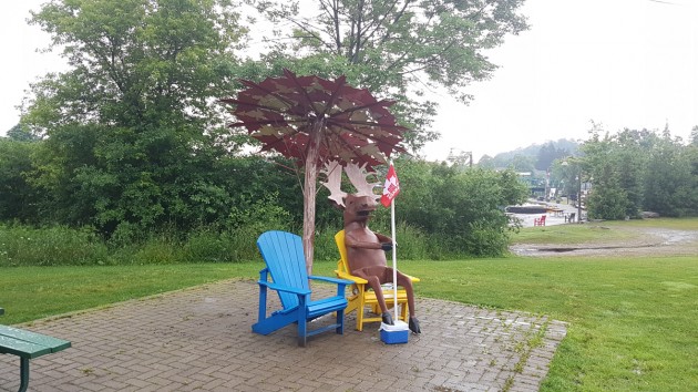 Huntsville, have you met Moosekokie?