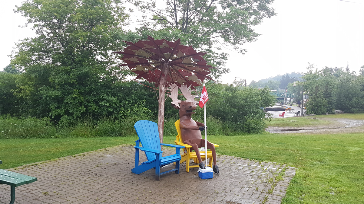 moosekokie