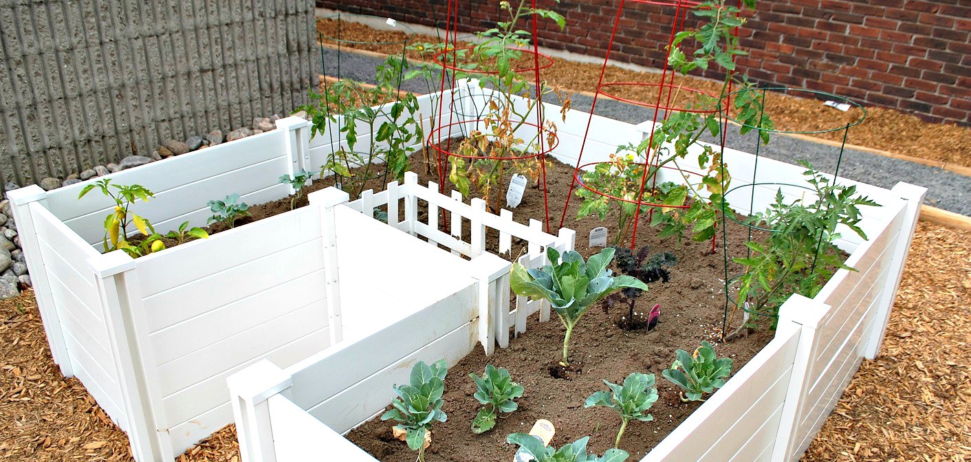 Huntsville Public Library’s community garden needs volunteers to help maintain it