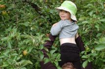 Julie Gagnon helps Maddy reach a perfect apple