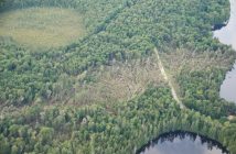 The tornado tracked nine kilometres in a northeast direction through the Limberlost area (Photo: Brian Tapley)