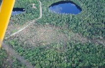 The tornado tracked nine kilometres in a northeast direction through the Limberlost area (Photo: Brian Tapley)