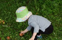 Maddy Gagnon sorts the good apples from the bad