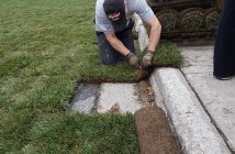 Cameron Renwick trims the sod so it fits neatly on the street