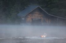 Joy Jarvis begins her swim up the foggy Muskoka River
