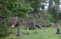Trees down at the Locks Cemetery on Brunel Road