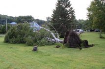Trees along Riverside Drive were uprooted