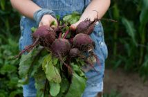 Mmmmm...beets