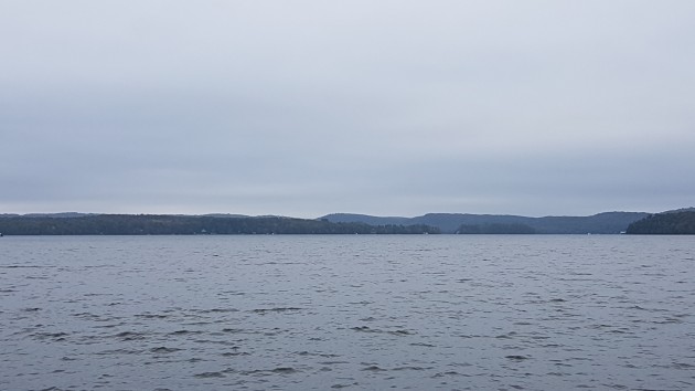 Health unit cautions Peninsula Lake waterfront residents about algae bloom