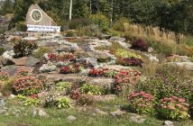 This garden welcomes golfers at the Hwy 60 entrance to Grandview