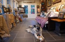 If you visit Morgan House during the Muskoka Autumn Studio Tour, you might even meet Stanley