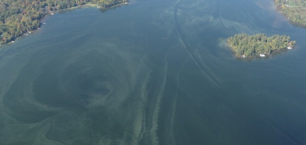 Ministry continues to monitor blue-green algae bloom in Pen Lake