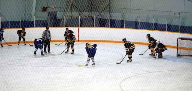 Huntsville Bantam Sting off to a strong start this season