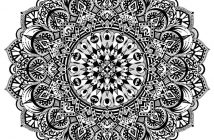 Zentangle with Gill Young (supplied photo)