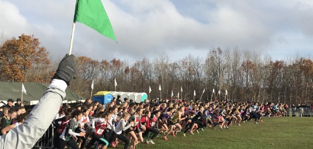 High school cross-country runners finish season strong at OFSAA