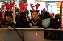 The Huntsville Sting girls hockey