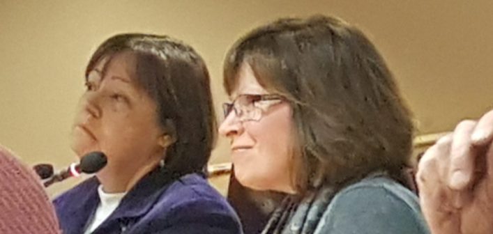 Muskoka Community Health Hubs representatives speak to Huntsville Council on December 19.