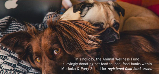 Animal Wellness Fund helping to feed pets via area food banks this Christmas