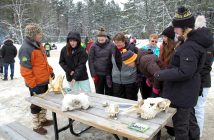 Jamie Honderich (left) encourages carnival goers to match animal photos to corresponding skulls