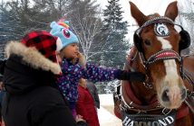Eva Trevisani with dad Carter gives draft horse Tug a pat