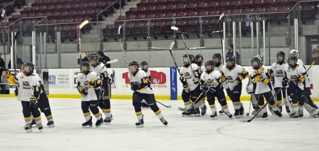 Five minor Otters teams competing in playoff rounds