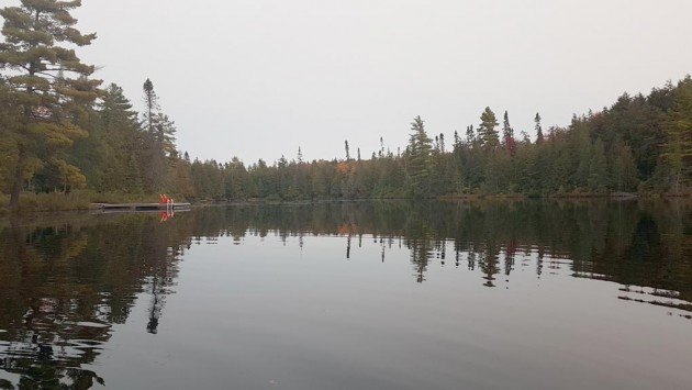 Town staff to review the ‘inequitable’ cost of purchasing shore road allowances