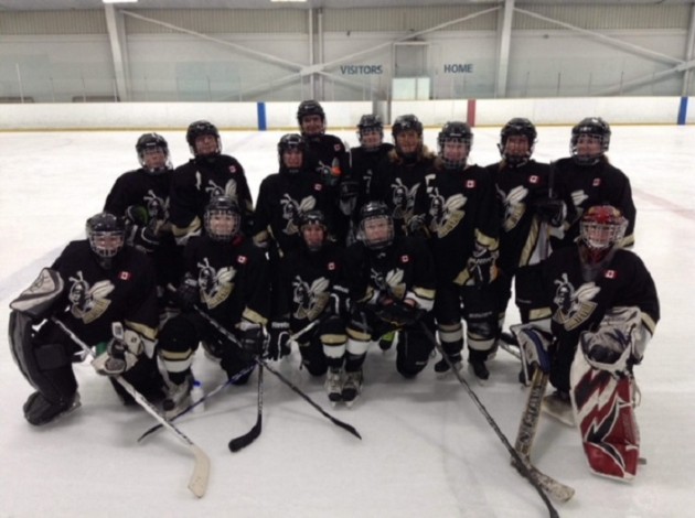 Huntsville Senior C Sting place fourth at provincial championships