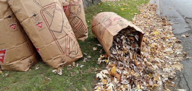 Next leaf and yard waste collection day is Nov. 7