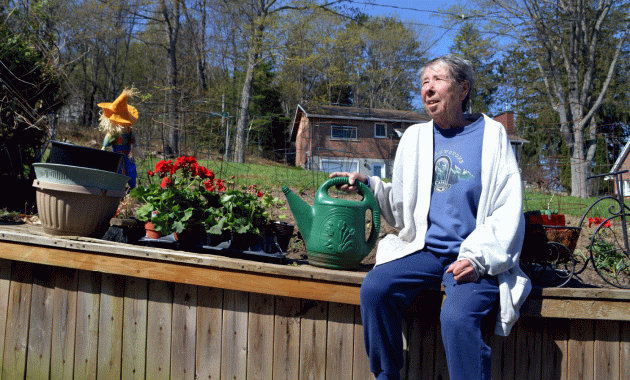 All the pretty flowers: Meet Linda Dronseika